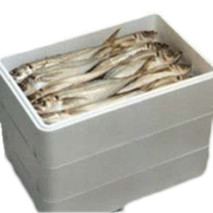Thermocol Boxes For Fish Packaging
